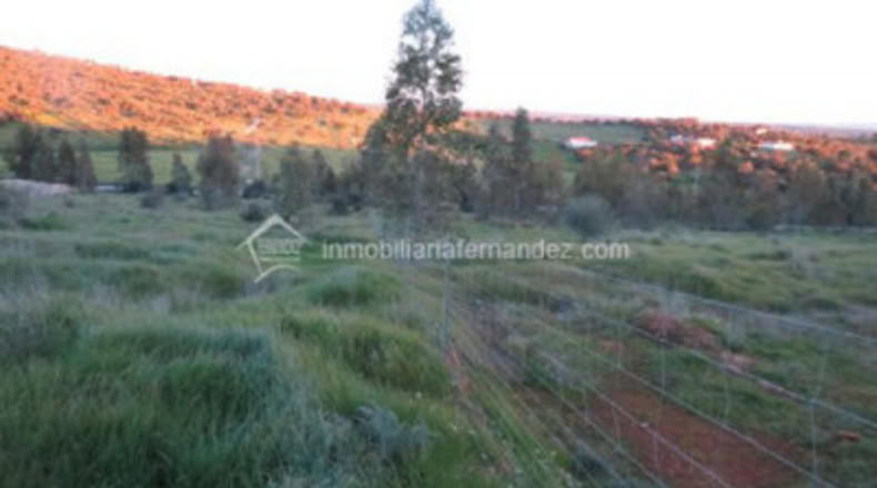 Cáceres - Cáceres - 2500m2