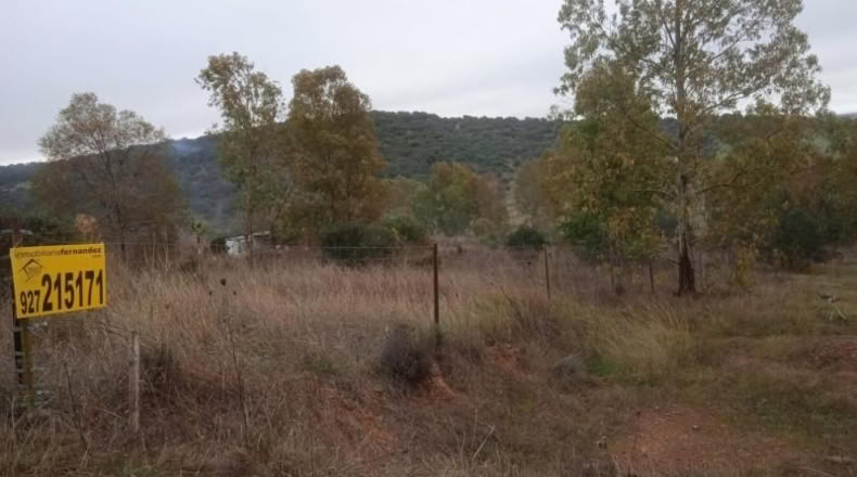 Cáceres - Cáceres - 2500m2