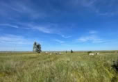 Terreno no urbanizable en venta en la España, Sierra de Fuentes, ref: TR242849 foto