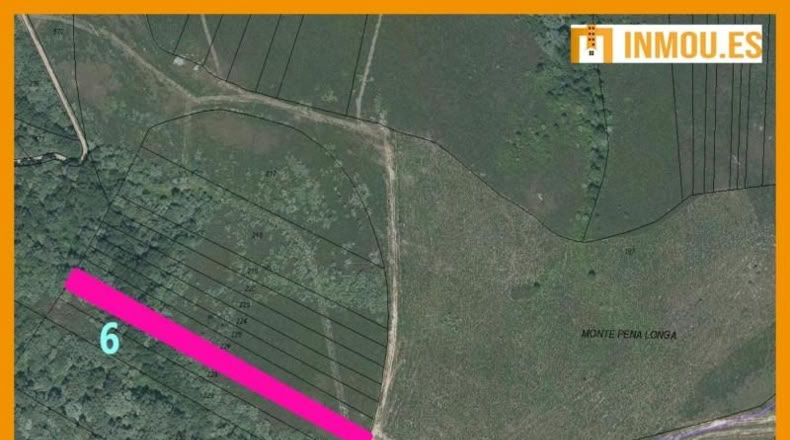 Orense - Montederramo - 38114m2