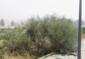Suelo urbano en venta en la España, Boecillo, ref: TR358068 foto