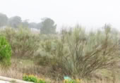 Suelo urbano en venta en la España, Boecillo, ref: TR358068 foto