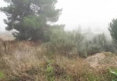 Suelo urbano en venta en la España, Boecillo, ref: TR358068 foto