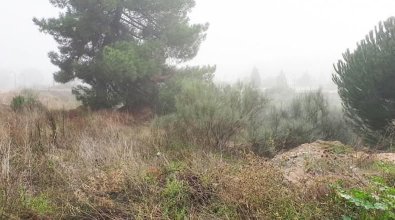 Valladolid - Boecillo - 208m2