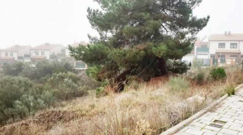 Valladolid - Boecillo - 208m2