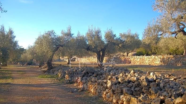 Tarragona - el Perelló - 10828m2