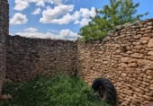 Xalet independent amb terreny en venda a la España, Montroig, ref.: TR302242 foto