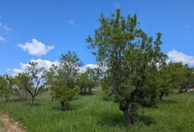 Montroig 1596&nbsp;m² 