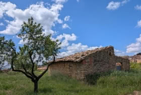 Montroig 1596&nbsp;m² 