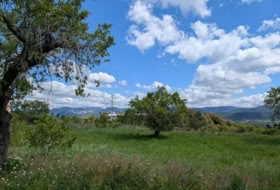 Montroig 1596&nbsp;m² 