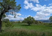 Xalet independent amb terreny en venda a la España, Montroig, ref.: TR302242 foto