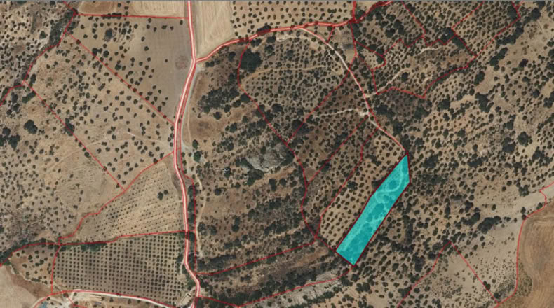 Cádiz - Альгодоналес - 6000m2