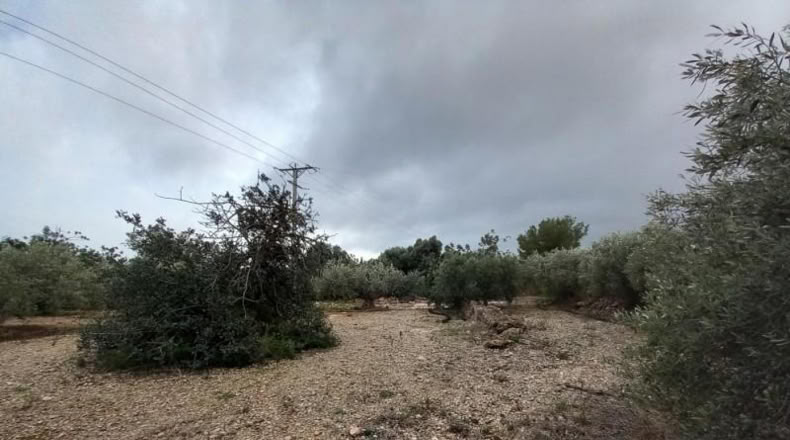 Tarragona - Alcanar - 4439m2