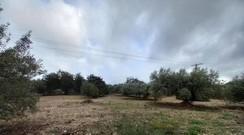 Tarragona - Alcanar - 4439m2