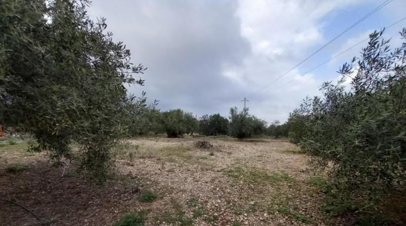 Tarragona - Alcanar - 4439m2
