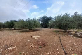 Foto 9