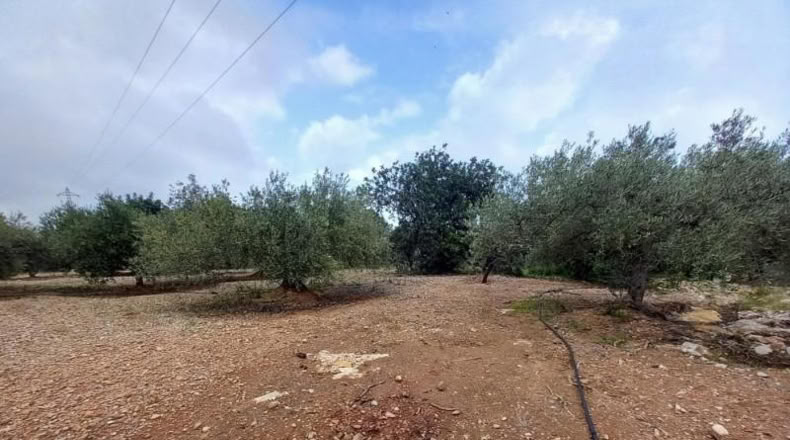 Tarragona - Alcanar - 4439m2