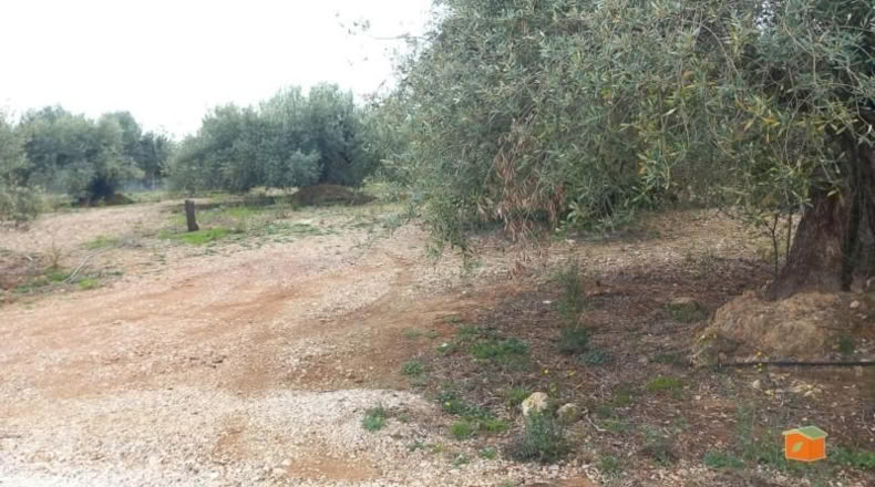 Tarragona - Alcanar - 4439m2