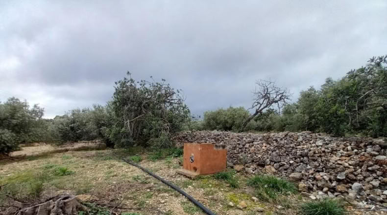 Tarragona - Alcanar - 4439m2