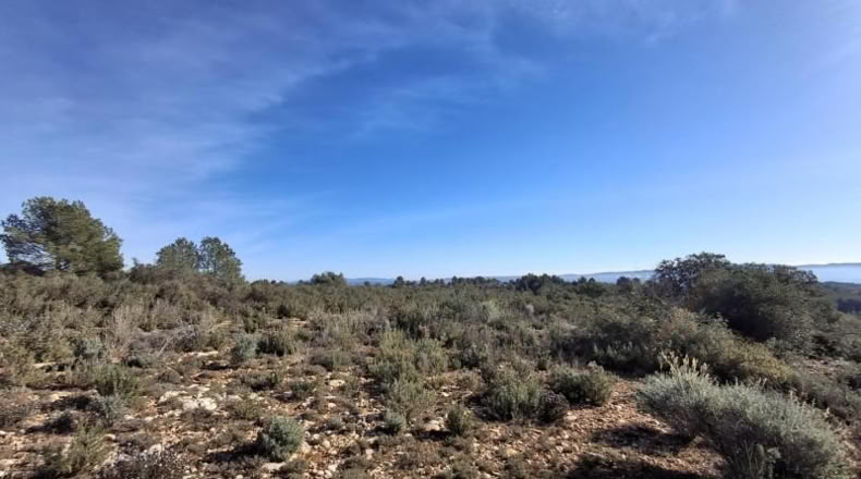 Castellón - Benlloch - 4455m2