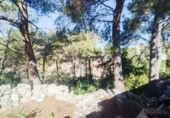 Land suitable for development for sale on España, Castellet, ref: TR174099 photo