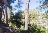 Land suitable for development for sale on España, Castellet, ref: TR174099 photo