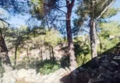 Land suitable for development for sale on España, Castellet, ref: TR174099 photo