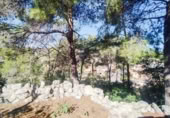 Land suitable for development for sale on España, Castellet, ref: TR174099 photo