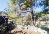 Land suitable for development for sale on España, Castellet, ref: TR174099 photo