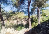 Land suitable for development for sale on España, Castellet, ref: TR174099 photo