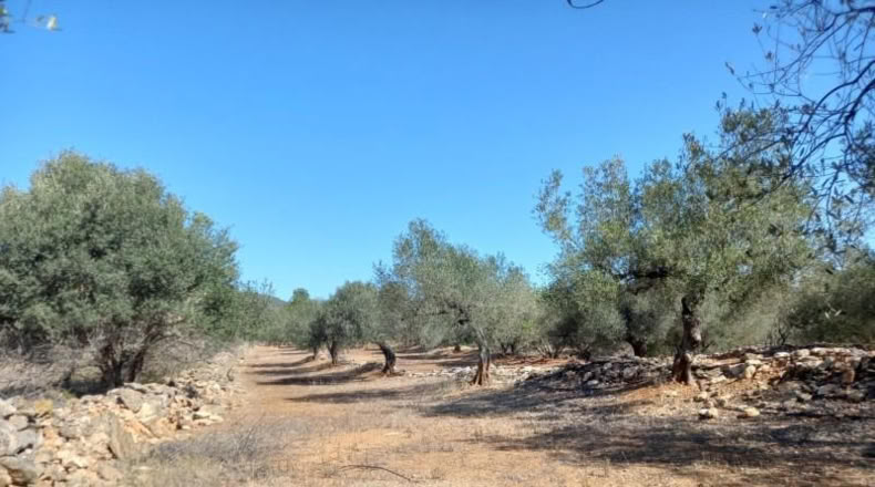 Tarragona - Rasquera - 2340m2