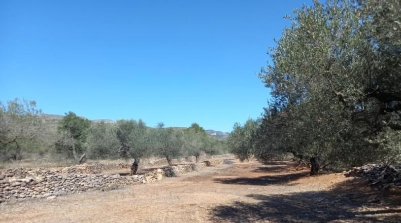 Tarragona - Rasquera - 2340m2
