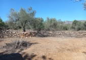 Terreny no urbanitzable en venda a la España, Rasquera, ref.: TR179506 foto