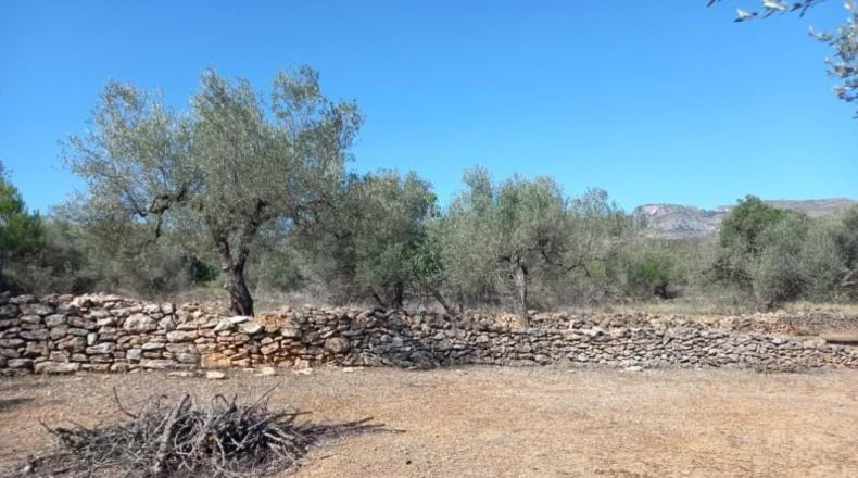 Tarragona - Rasquera - 2340m2