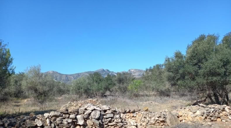Tarragona - Rasquera - 2340m2