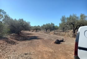 Foto 14