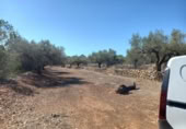 Terreny no urbanitzable en venda a la España, Rasquera, ref.: TR179506 foto