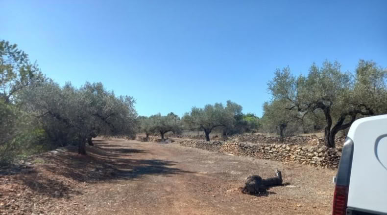 Tarragona - Rasquera - 2340m2