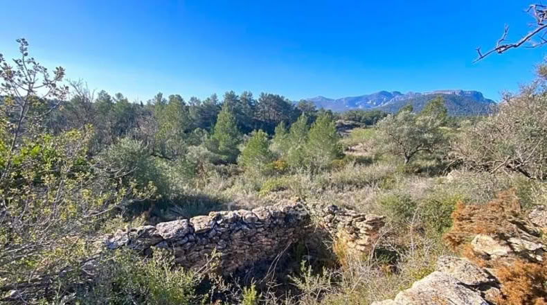 Tarragona - Rasquera - 8155m2