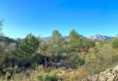 Terreny no urbanitzable en venda a la España, Rasquera, ref.: TR128870 foto