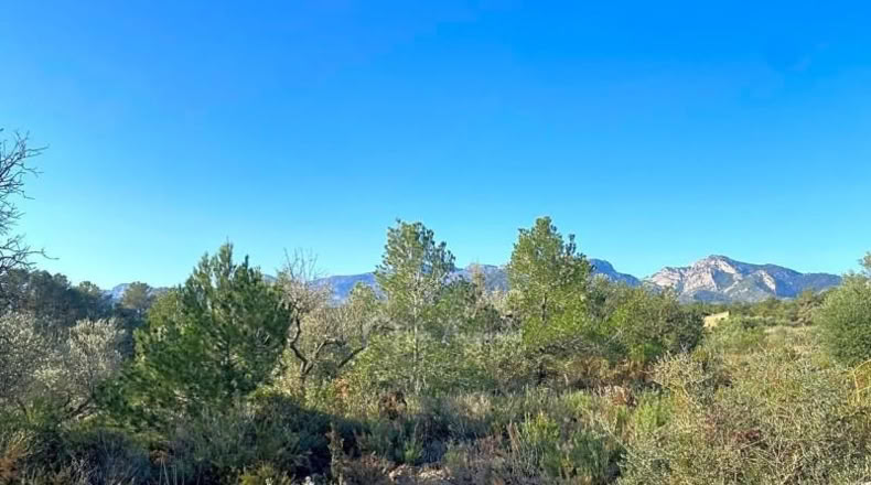 Tarragona - Rasquera - 8155m2