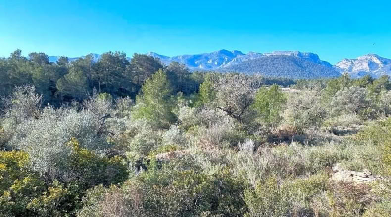 Tarragona - Rasquera - 8155m2