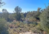 Terreny no urbanitzable en venda a la España, Rasquera, ref.: TR128870 foto