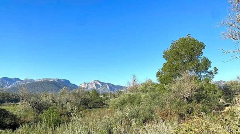 Tarragona - Rasquera - 8155m2
