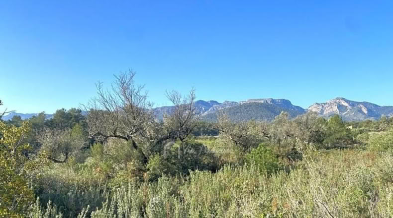 Tarragona - Rasquera - 8155m2