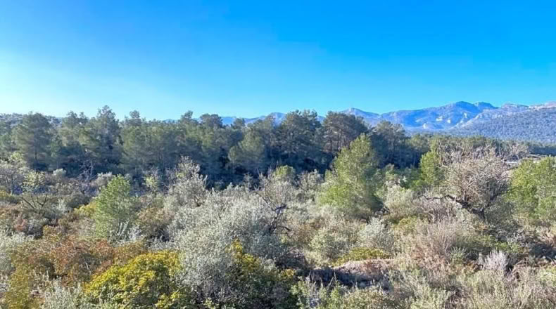 Tarragona - Rasquera - 8155m2