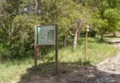 Non-developable land for sale on España, Carataunas, ref: TR319688 photo