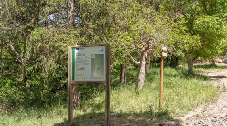 Granada - Carataunas - 3360m2