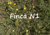 Non-developable land for sale on España, Carataunas, ref: TR319688 photo