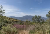Non-developable land for sale on España, Carataunas, ref: TR319688 photo